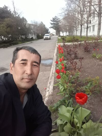  ,   , 46 ,     , 