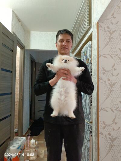  ,   Antohska, 34 ,   ,   