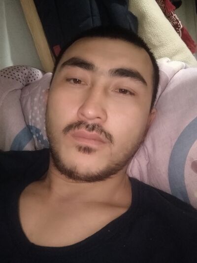  --,   Arbor, 32 ,   ,   