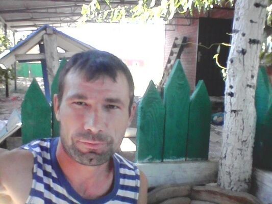  ,   Wolf, 41 ,   