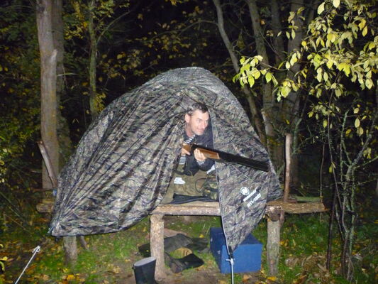 ,   Nik, 54 ,   