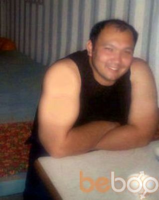  ,   Bars, 43 ,   