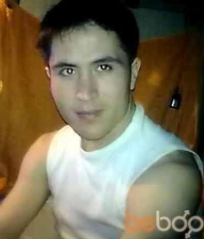  -,   BosBorz, 37 ,   