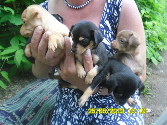  ,   , 58 ,   ,   , c 