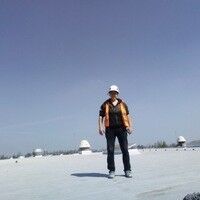  Gliwice,   , 43 ,   
