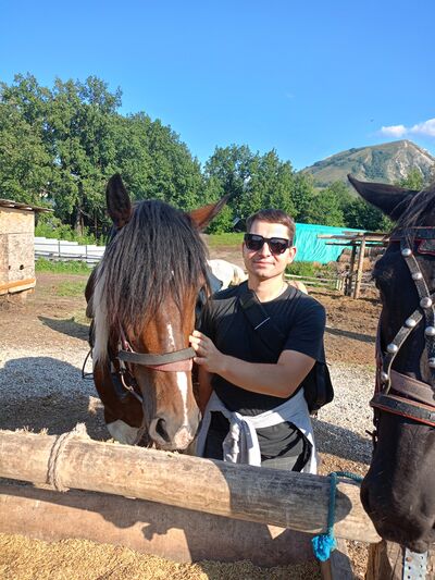  ,   , 29 ,     , c , 