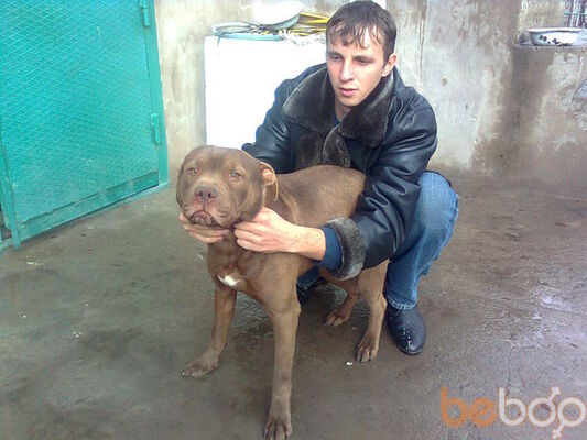  ,   Pitbull, 39 ,   
