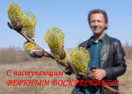  ,   , 51 ,     , c 