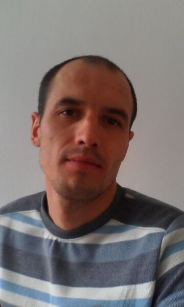  ,   , 41 ,  