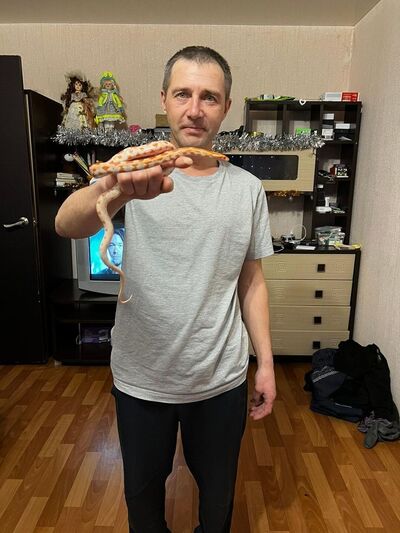 ,   , 44 ,   ,   