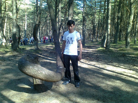  ,   Qobil, 33 ,   ,   
