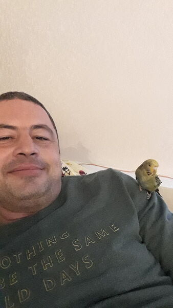  ,   , 46 ,   ,   