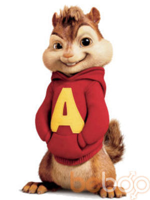  3271944  Zolotoy, 34 ,    