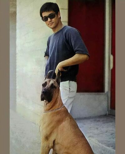  ,   , 38 ,   ,   