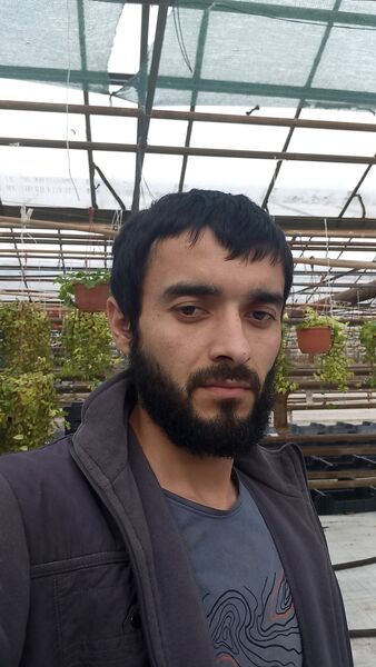  ,   , 31 ,     