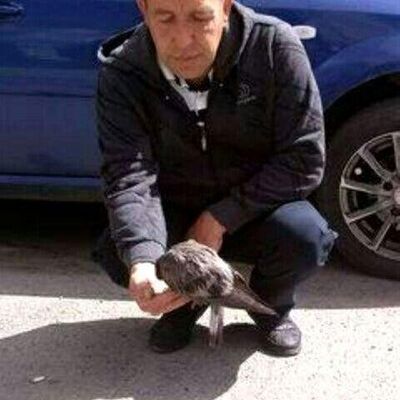  ,   , 57 ,   ,   , c 