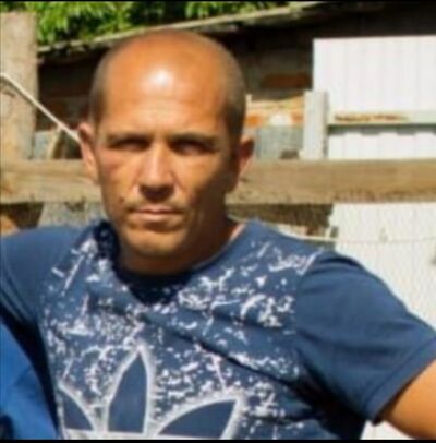  ,   , 44 ,  