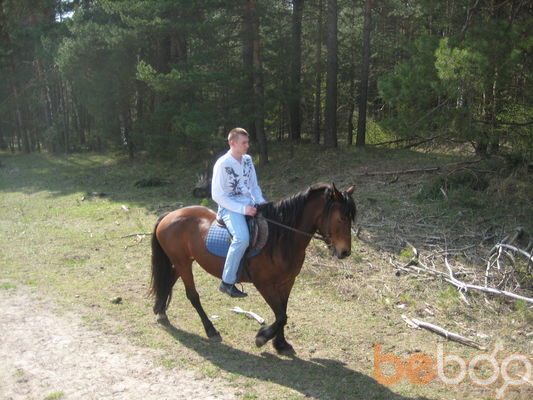  ,   ARHANGEL, 37 ,   ,   , c 