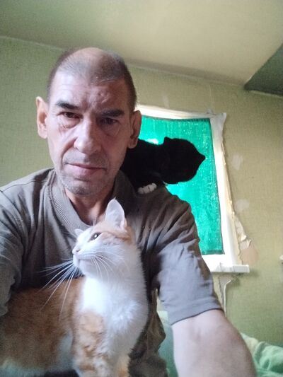  ,   , 56 ,   ,   