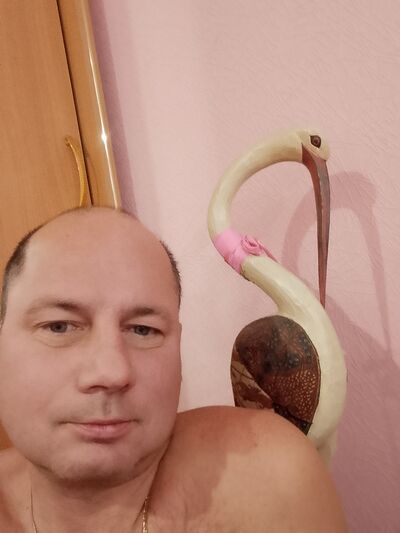   ,   , 52 ,   ,   