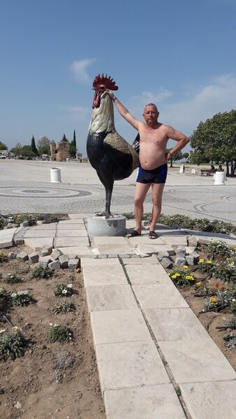 ,   , 60 ,  