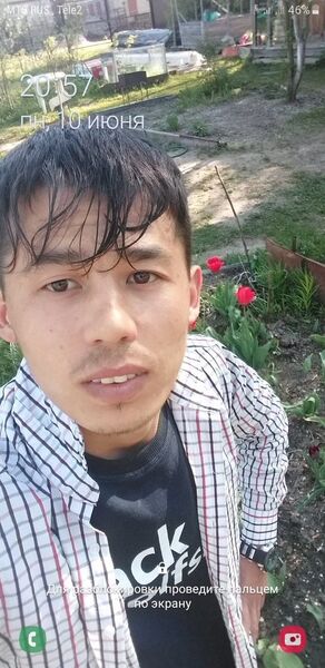   ,   Alisher, 29 ,   ,   