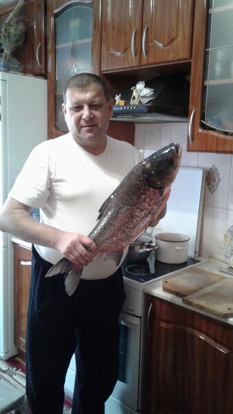  ,   , 53 ,     , c , 