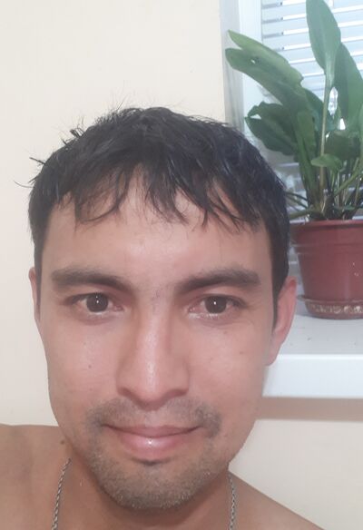  ,   , 41 ,   c 