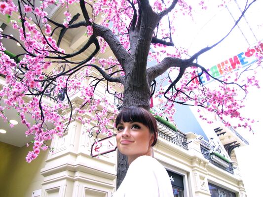  -,   Regina, 33 ,     , c 