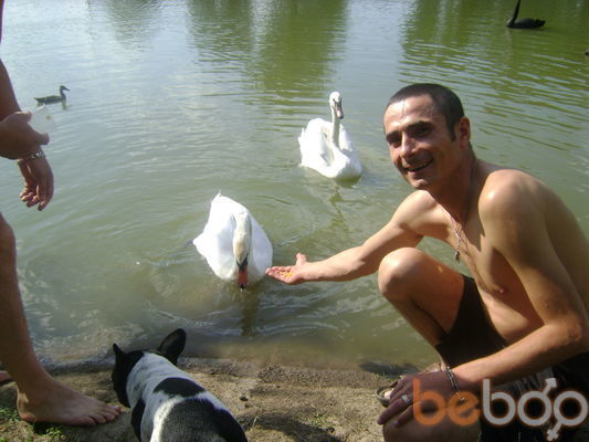 ���������� ������, ���� ������� �����, 39 ���, ������������ ��� ������, ����� � ���������, c�������� ���������