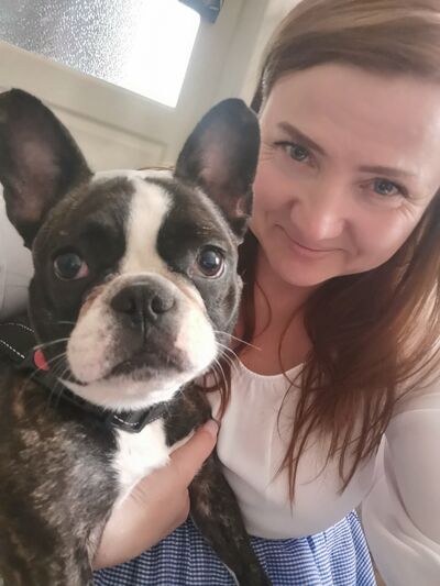  -,   , 42 ,   ,   , c 