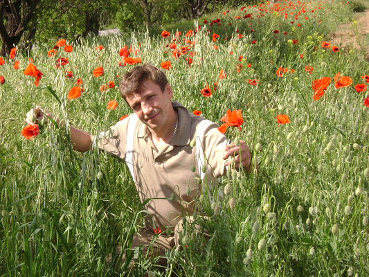  -,   , 61 ,   ,   , c , 