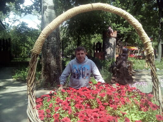  ,   , 44 ,   