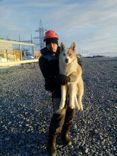  ,   Anton, 41 ,   ,   , c , 