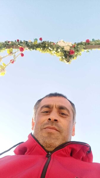  ,   , 44 ,   