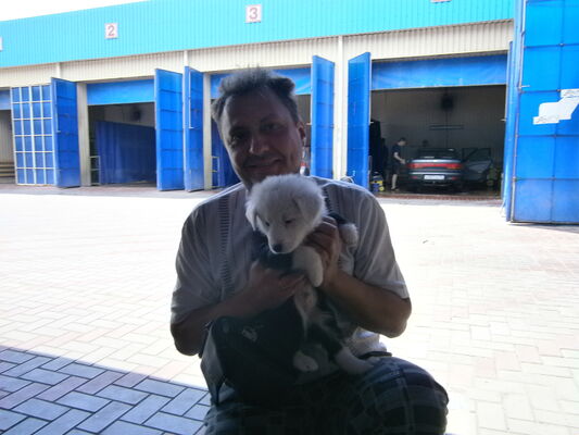  ,   Alexandr, 54 ,   ,   , c 