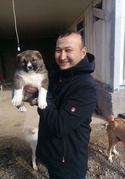  ,   Serdarhan, 45 ,   ,   , c 