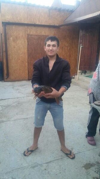  ,   Tolik, 33 ,   ,   , c 