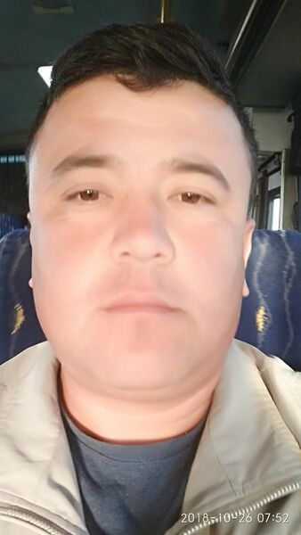  ,   Shavkat, 37 ,   ,   , c 