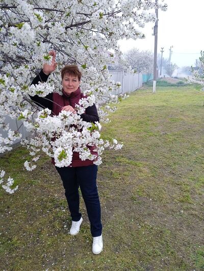  ,   , 65 ,   c 