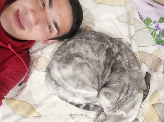  ,   William, 26 ,   ,   , c 