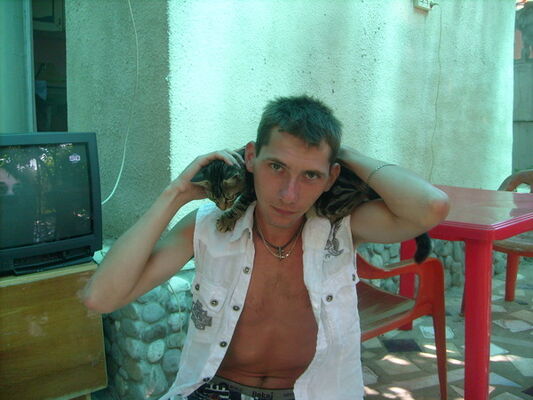  ,   Ҹ, 38 ,   ,   , c 