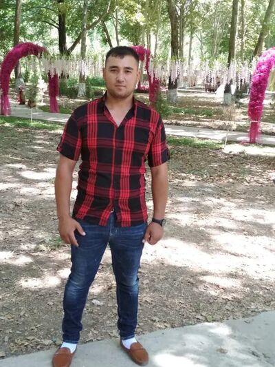  ,   Lion, 33 ,     , c 
