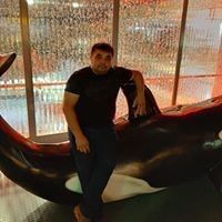  ,   Kobil, 37 ,   ,   , c 