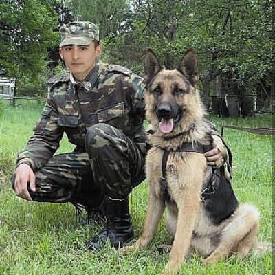  ,   Nodirbek, 33 ,   ,   , c 