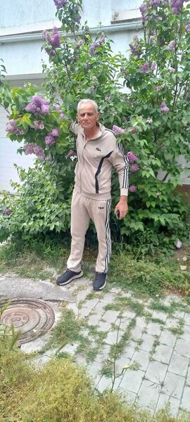  ,   , 54 ,   ,   