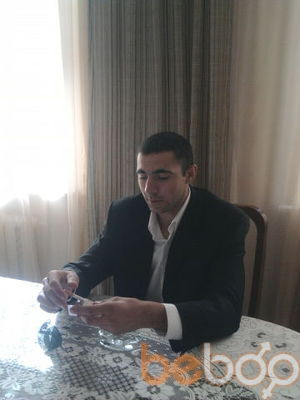  ,   ABO, 33 ,   
