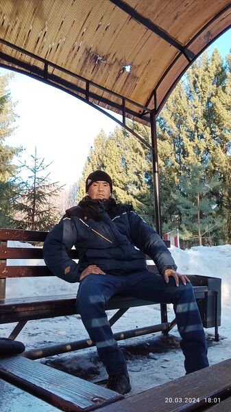  ,   Radis Halico, 41 ,   c 