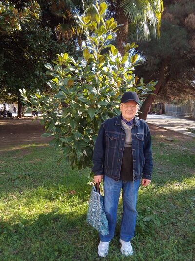  ,   , 67 ,   ,   
