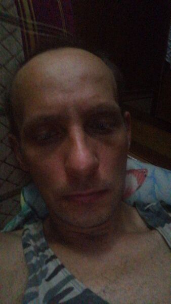  -,   , 43 ,   ,   , c 